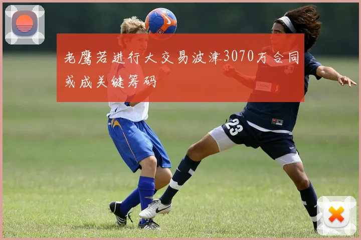 老鹰若进行大交易波津3070万合同或成关键筹码